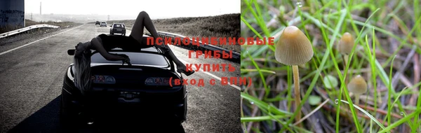 MESCALINE Абинск