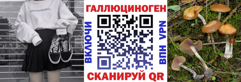 Псилоцибиновые грибы мухоморы  наркота  omg зеркало  Терек 